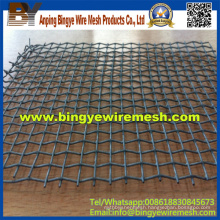 Low Price 8mm 304 Crimped Mesh (factory)